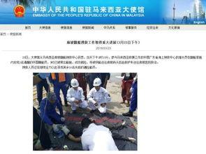 新船员最新爆料新闻事件,揭秘海上惊险事件背后的真相